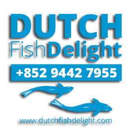Picture shows the logo for Dutch Fish Delight created by STORMYSUNDAY