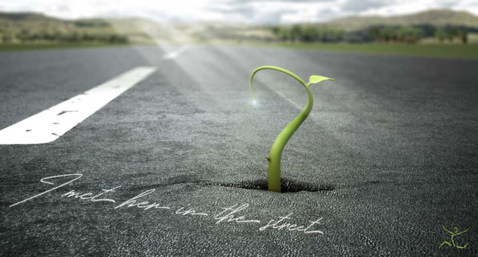 A 3D visual of a small sprout breaking through an asphalt road surface.